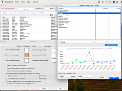 Économix avec Budget