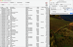 Économix, Feuille de Compte et Fenête de Saisie d'Opération